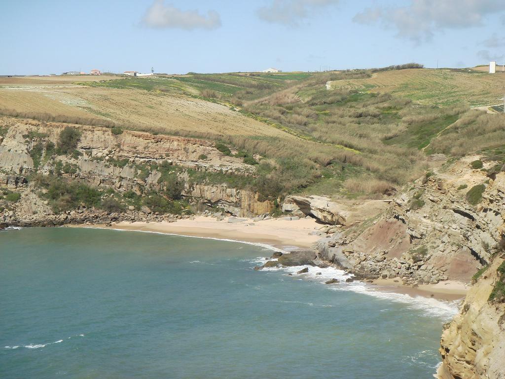Campo De Oleandros