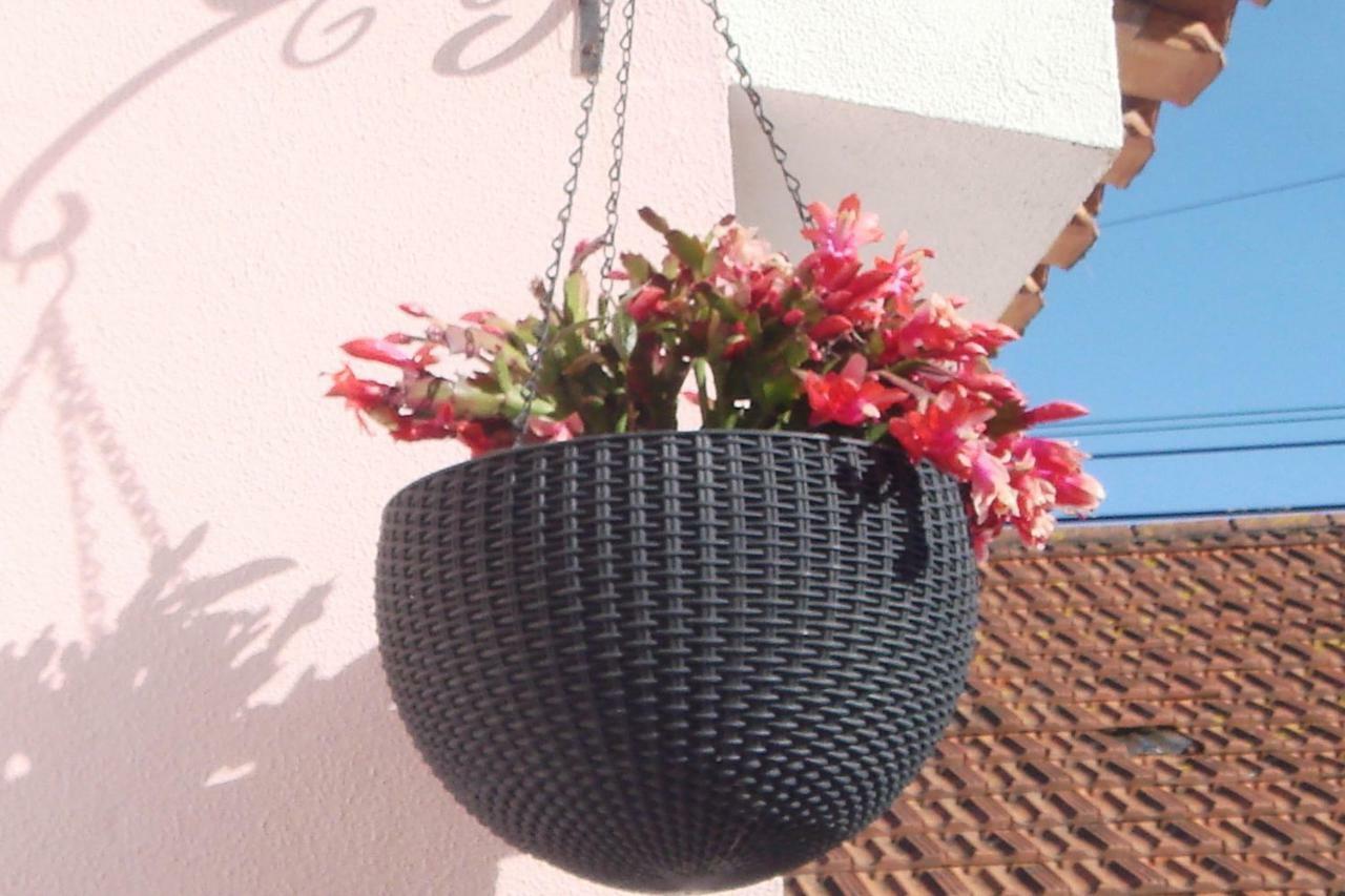 Holiday home Campo De Oleandros Lourinha (Lisbon)