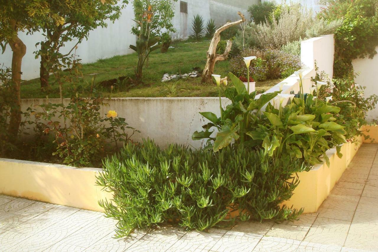 Campo De Oleandros *